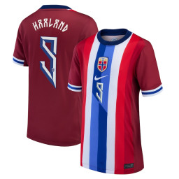 Youth Red Norway National Team 2024 Home Replica Jersey